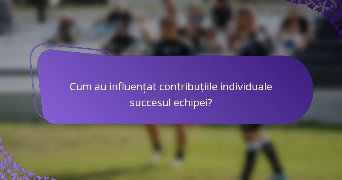 Cum au influențat contribuțiile individuale succesul echipei?